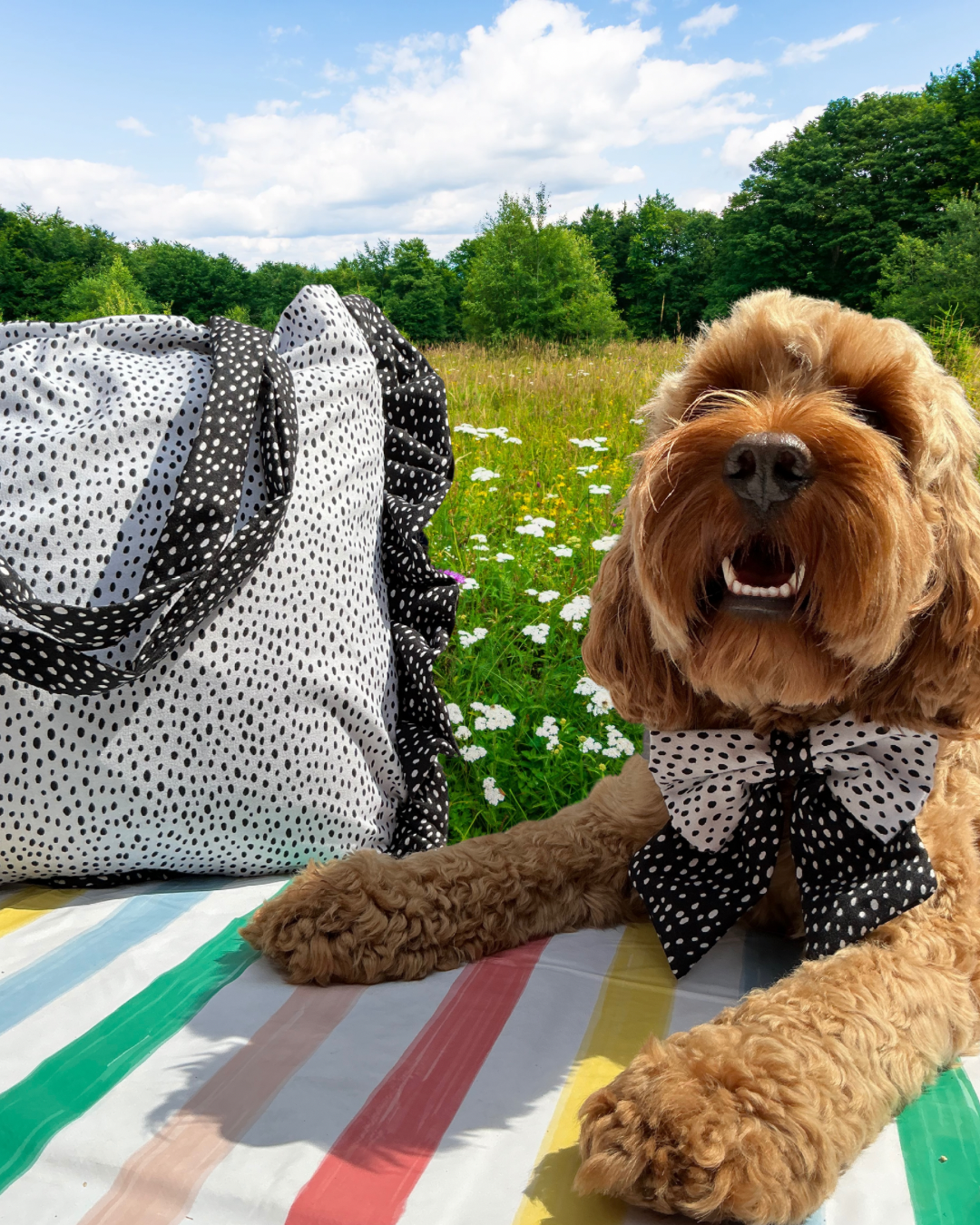 Picnic PAWfect: Monochrome Mood Tote Bag