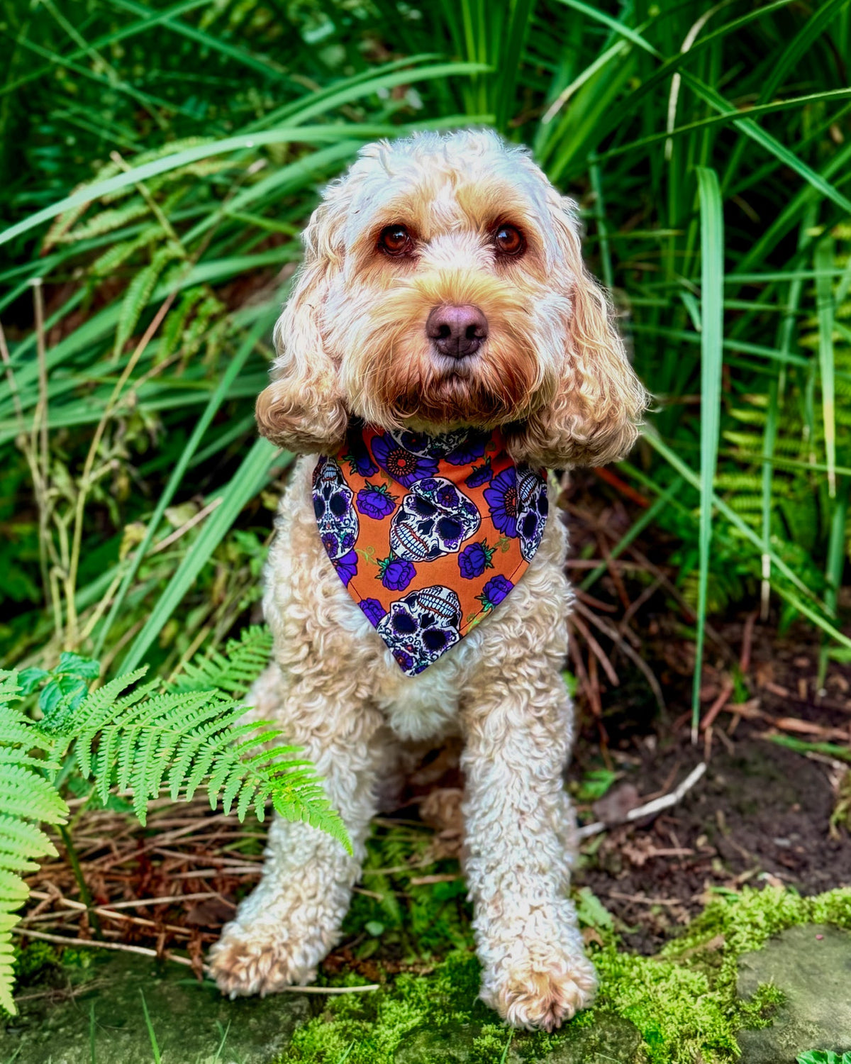 Midnight + Mischief - Dead Gorgeous Bandana