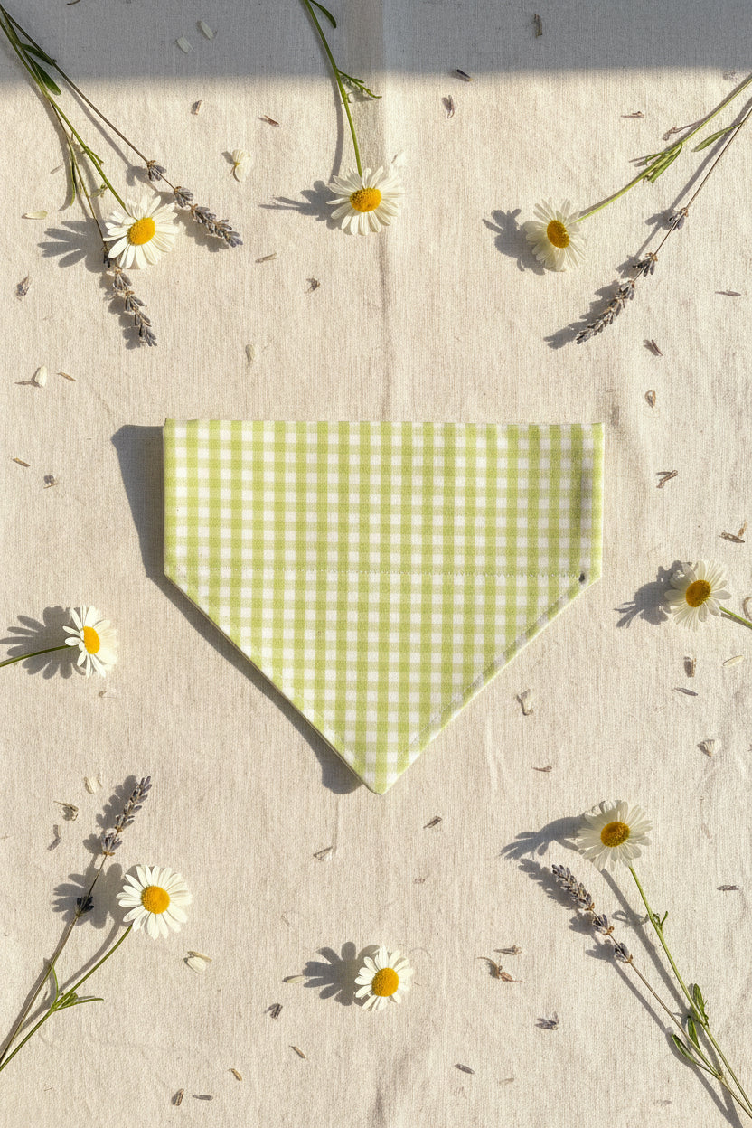 Picnic Pals - Lime Strut Dog Bandana