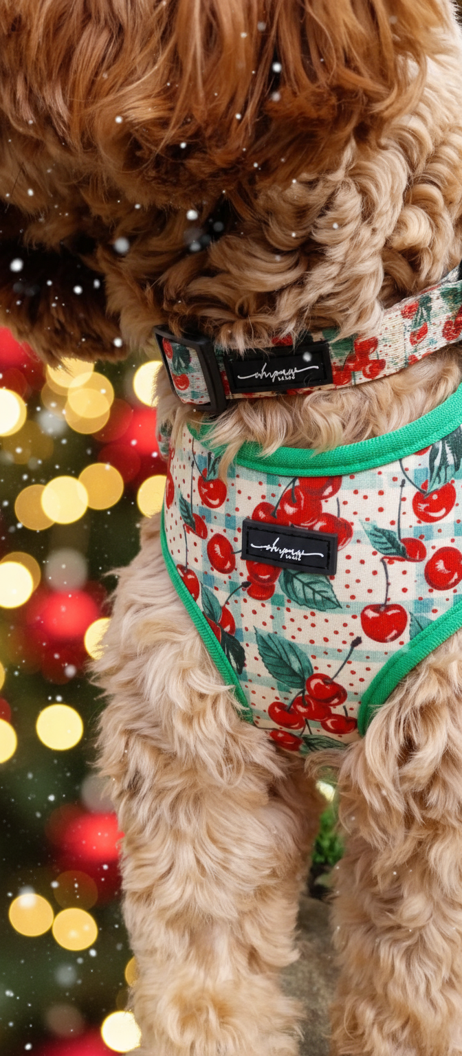 Cherry Christmas Collar