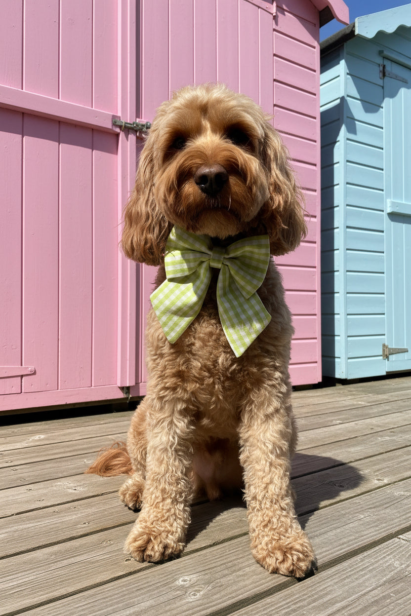 Picnic Pals - Lime Strut Dog Sailor Bow