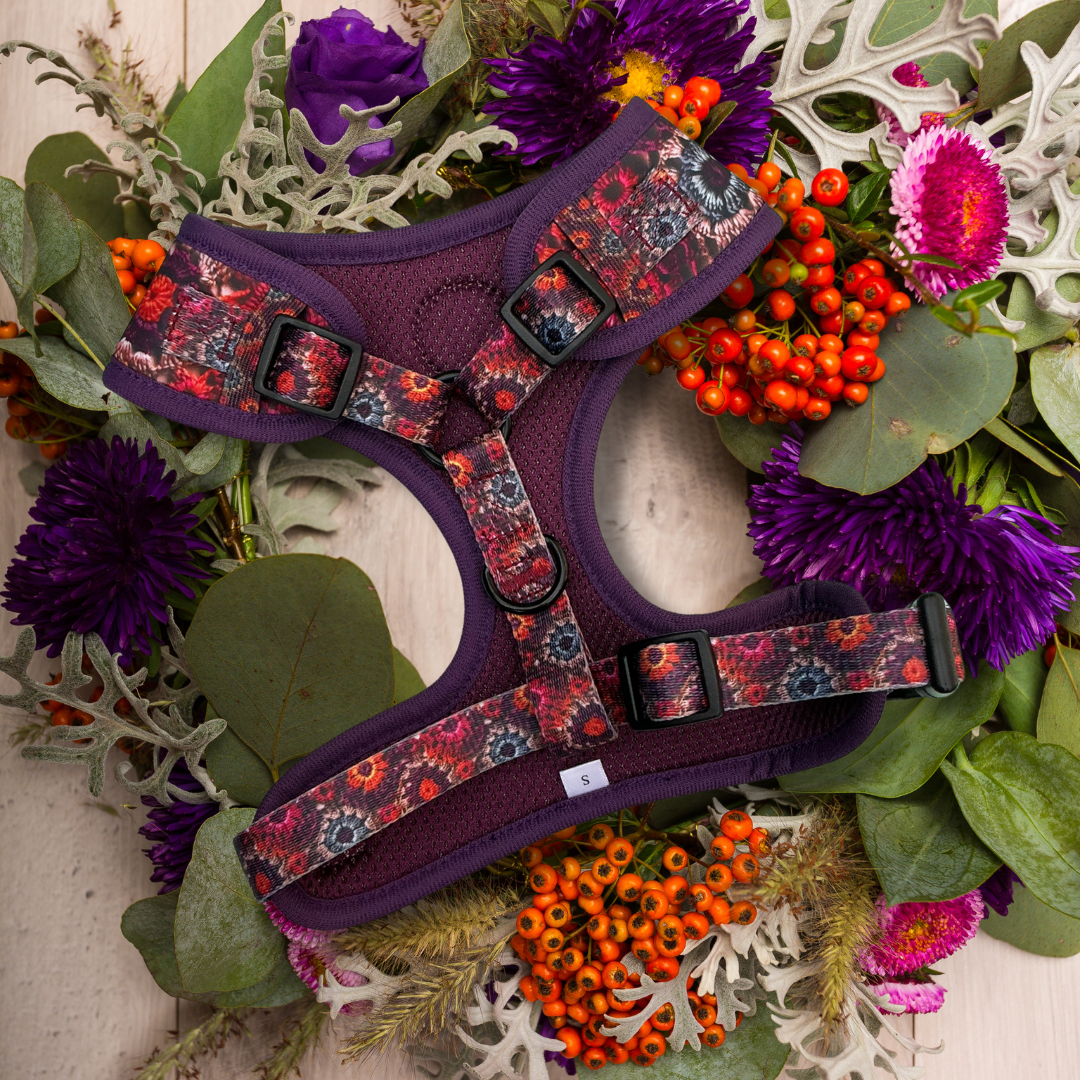 Pawberry Patch - Adjustable Harness