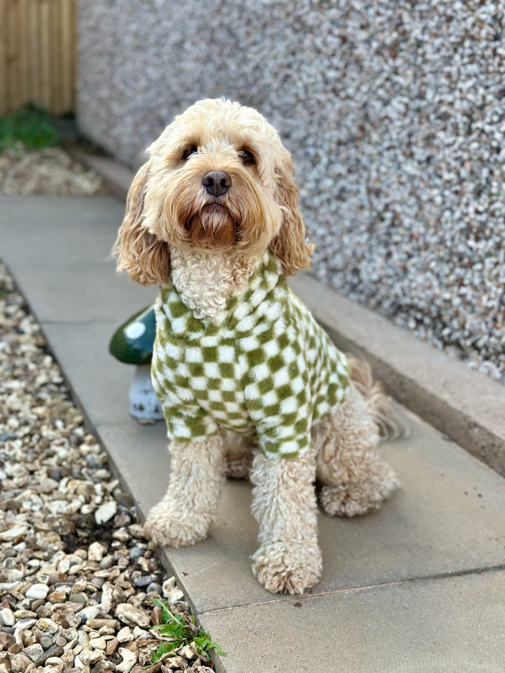 Cosy, Cute & Checkered Hoodie