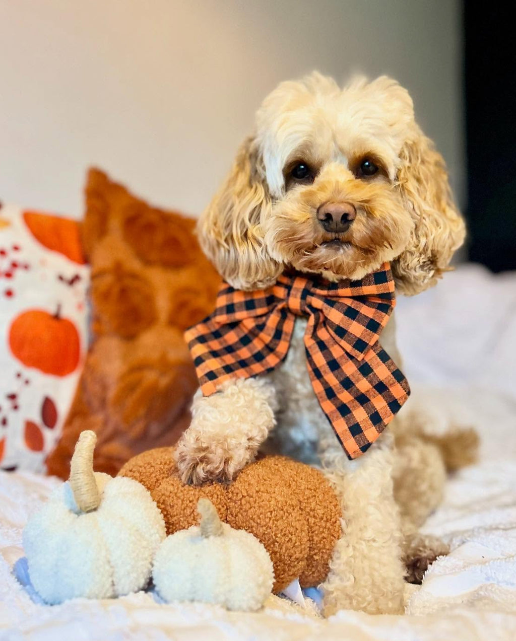 Countryside Club - Orange Check Sailor Bow