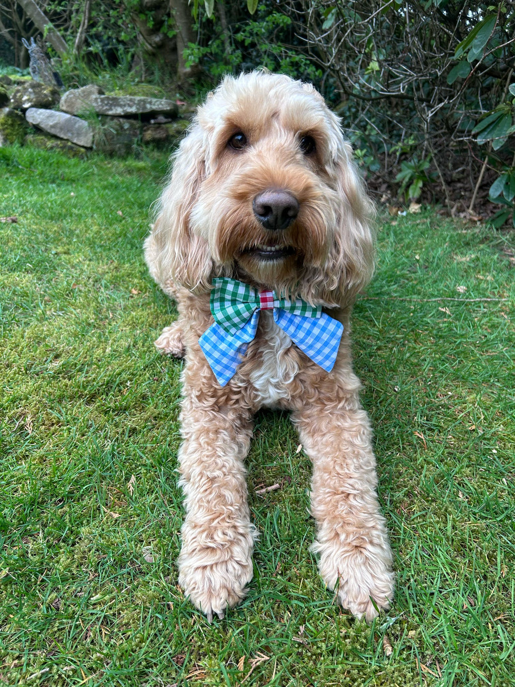 Picnic Pals - Traditional Gingham Sailor Bows - Multicoloured