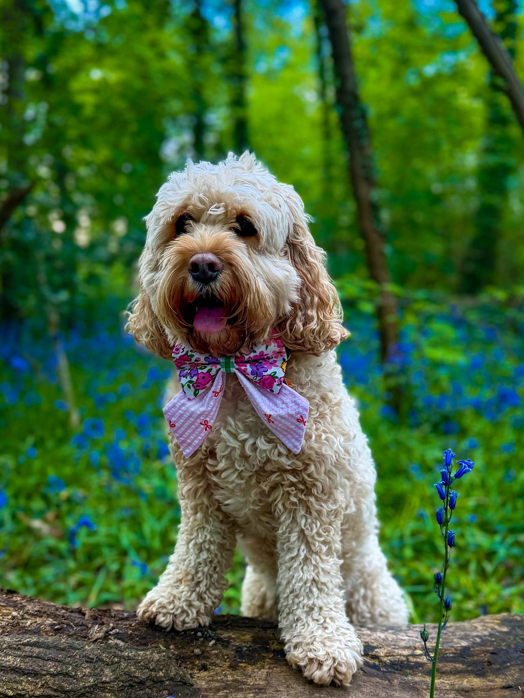 Mix & Bloom Sailor Bow