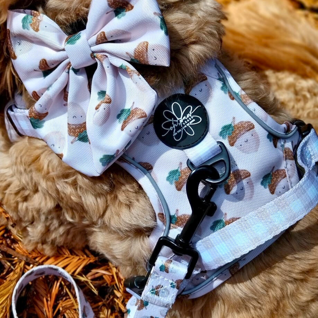 Nutty, by Nature – Acorn Sailor Bow