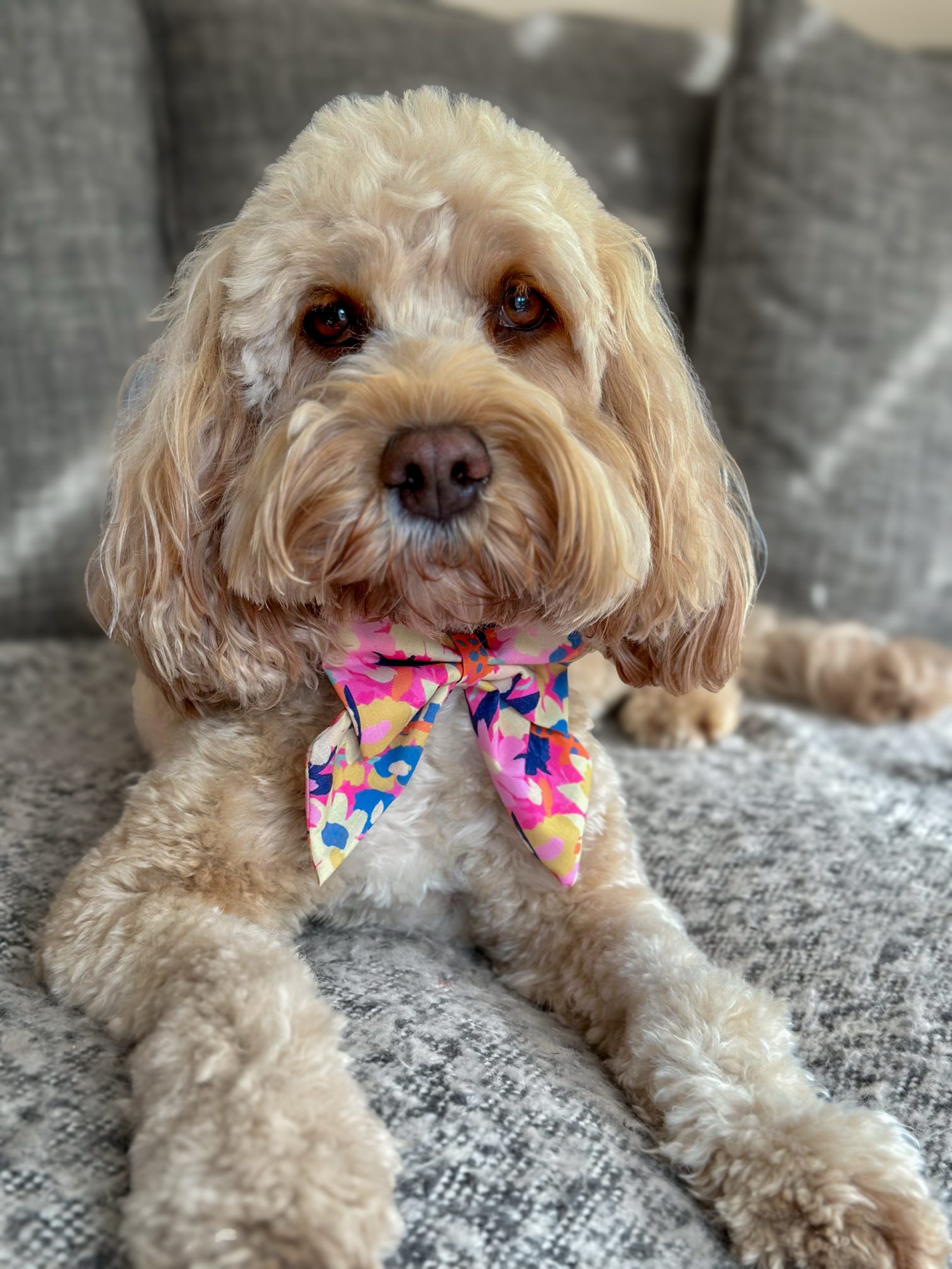 Popping Pink Sailor Bow