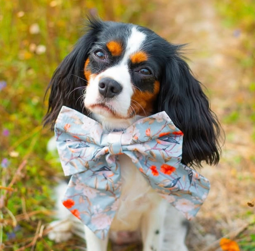 Songbirds Bloom Sailor Bow