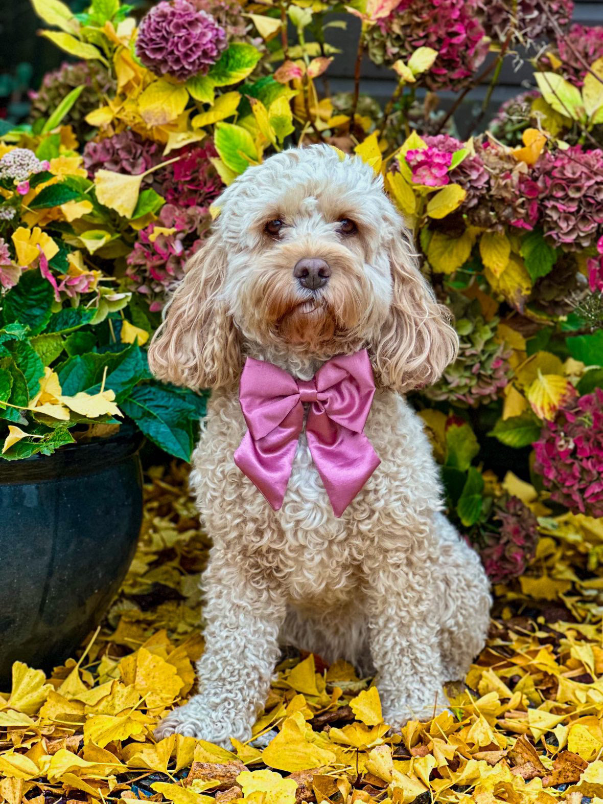 Satin Luxe Sailor Bow - Pink