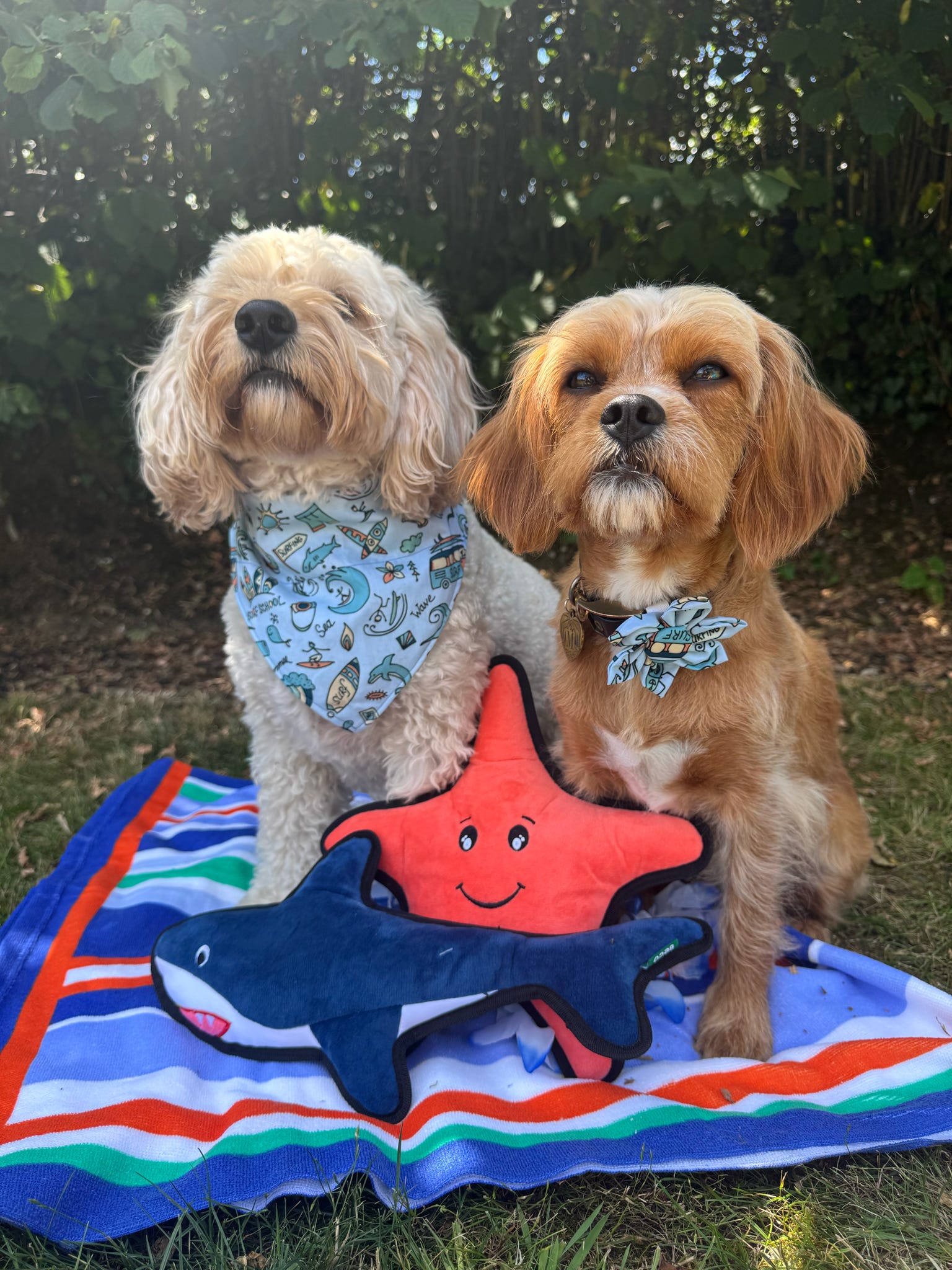Sailor JOY: Surfs Up! Bandana