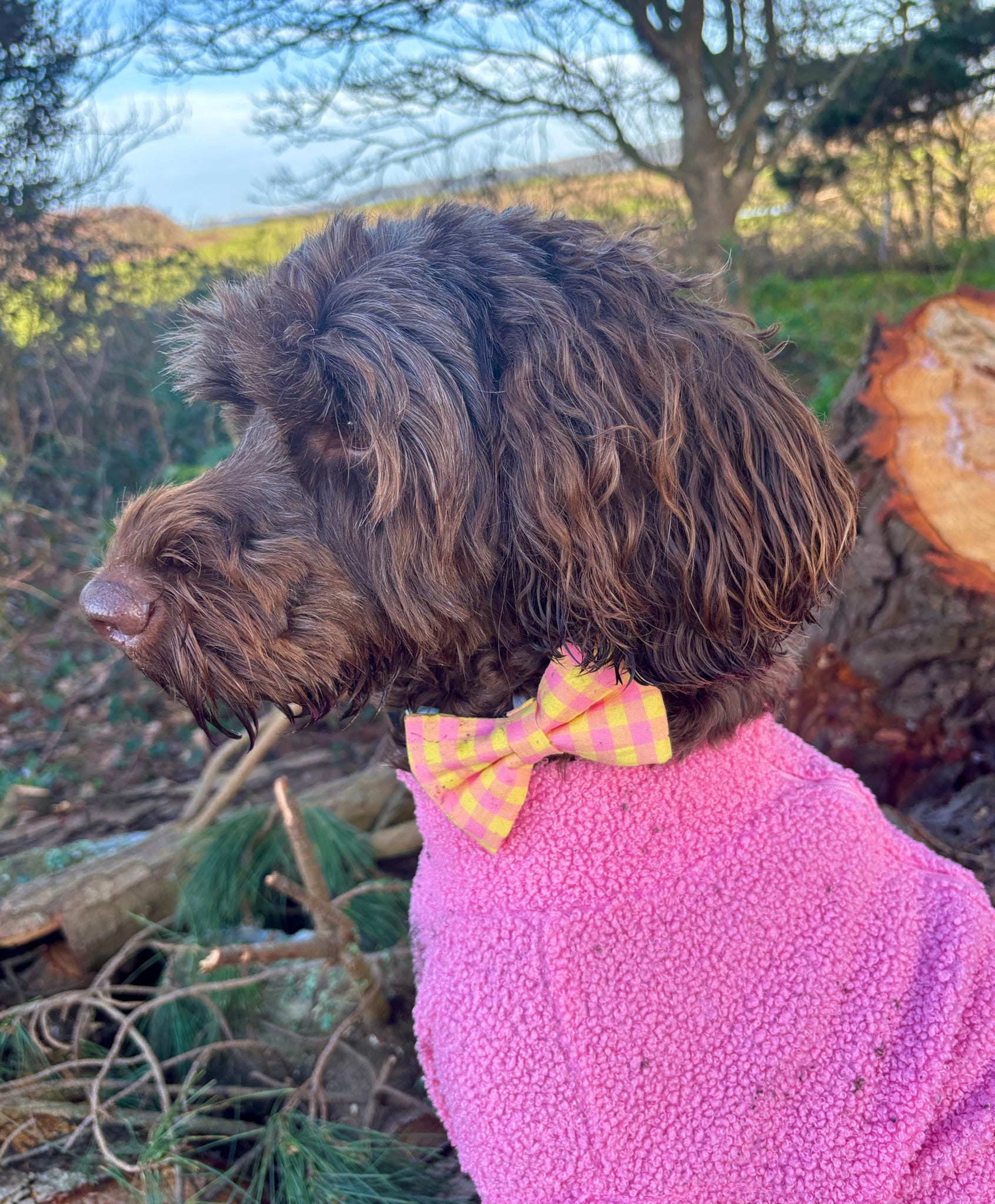 Picnic Pals - Peach Gingham Bow Tie
