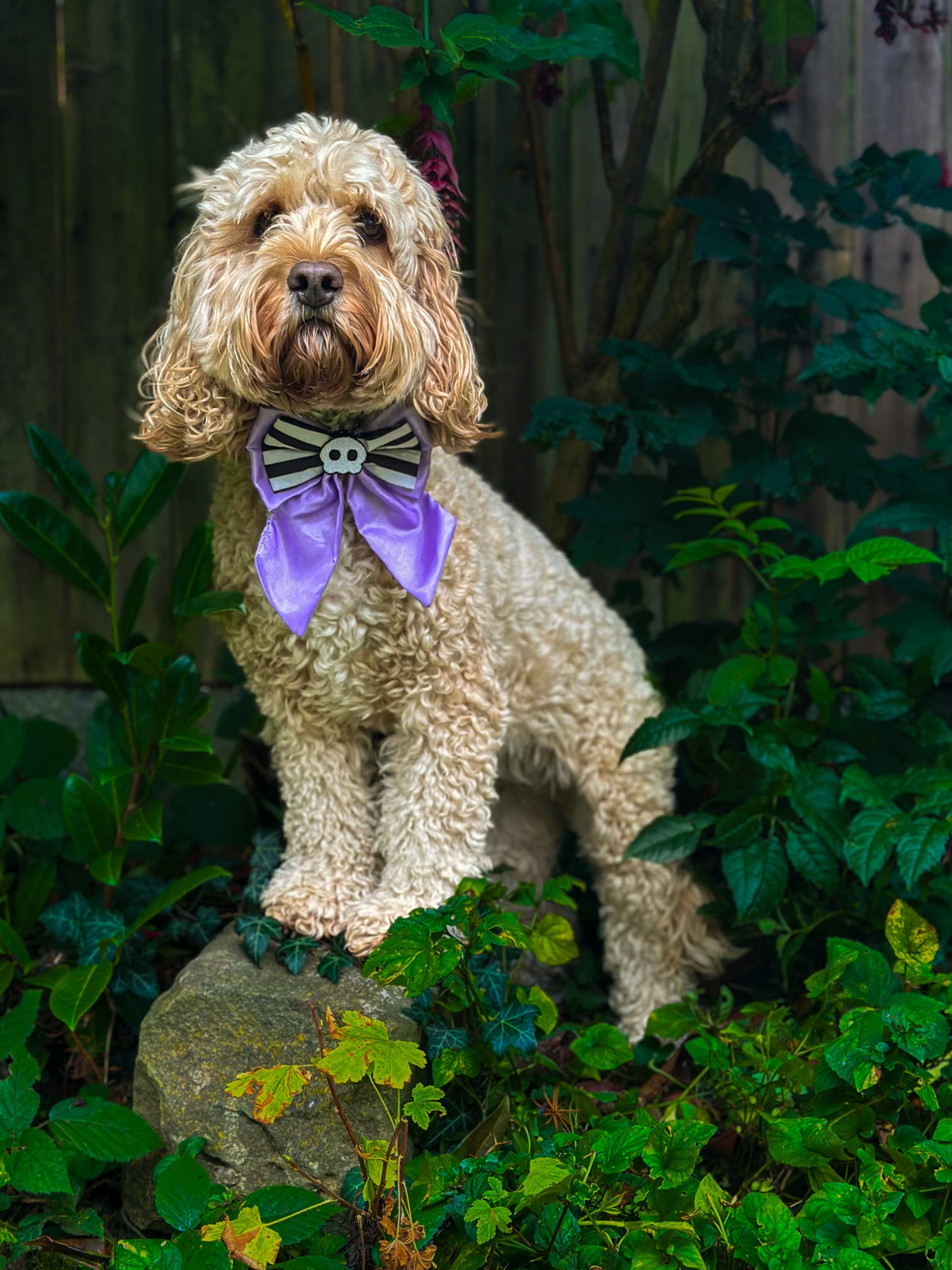 Purple Nightmare Sailor Bow