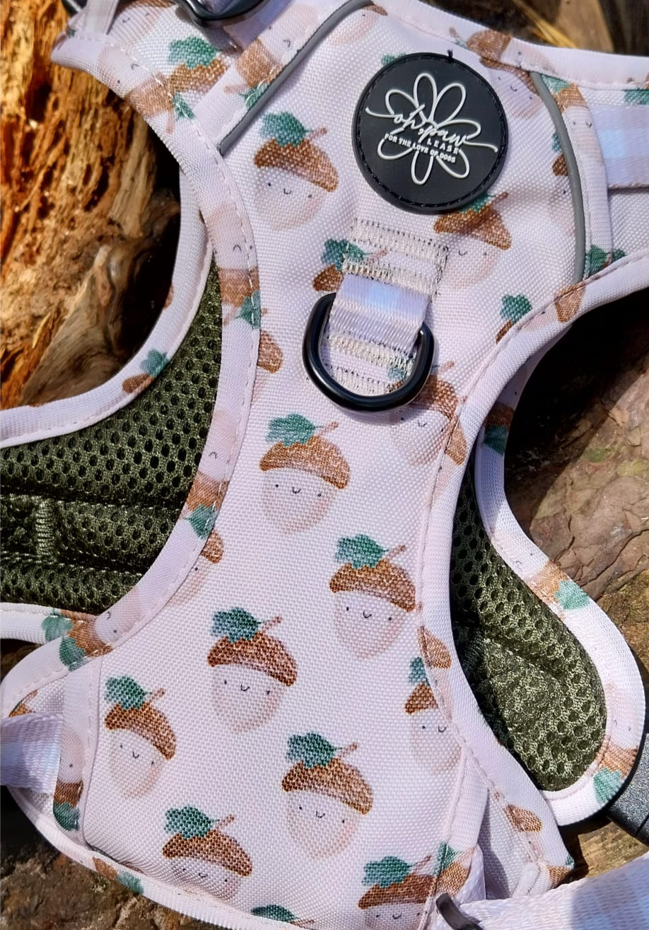 Nutty, by Nature - Full Walking Set