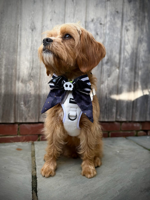 Bat Fang Tail Sailor Bow