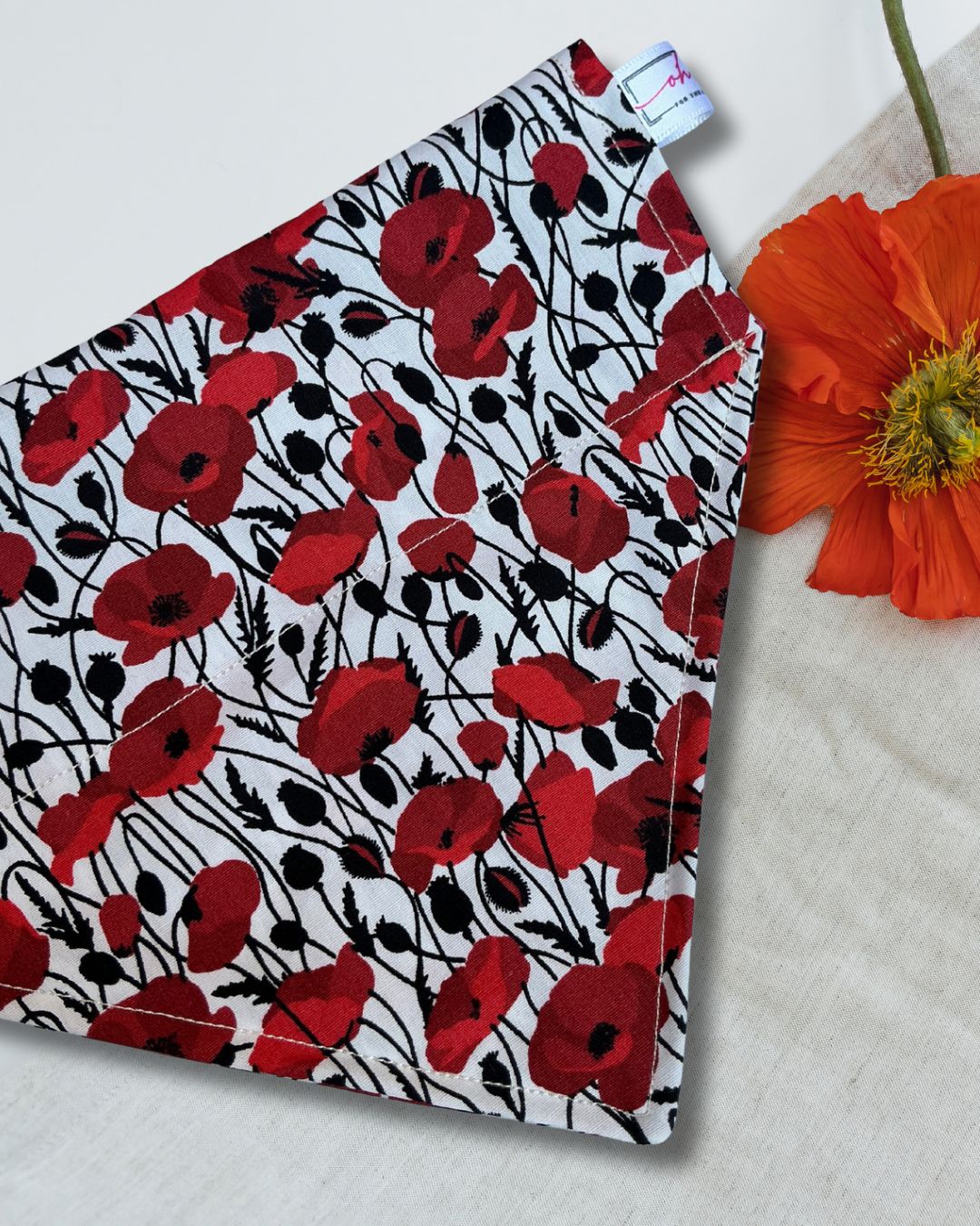 Paws for Remembrance Bandana