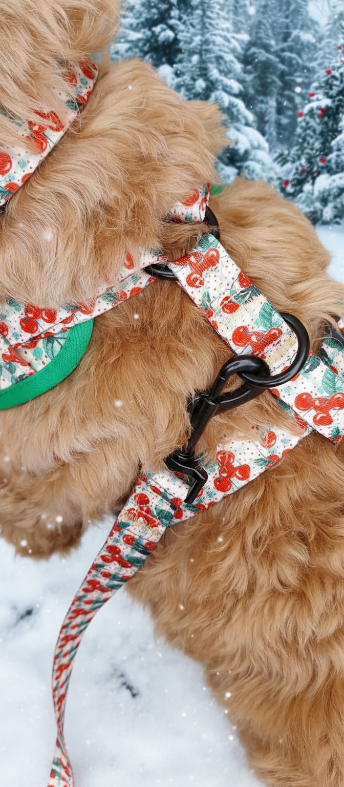 Cherry Christmas Lead