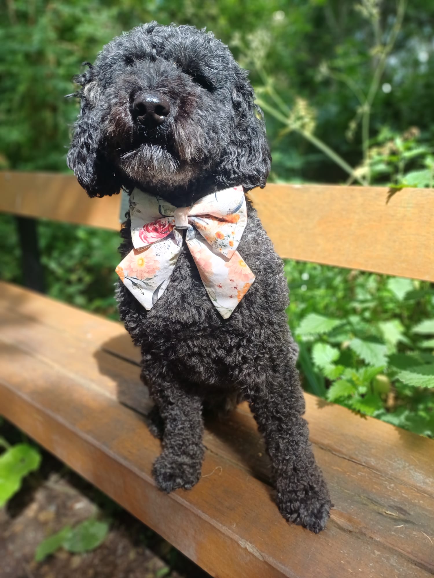 Fur-tastic Florals Highland Cow Sailor Bow