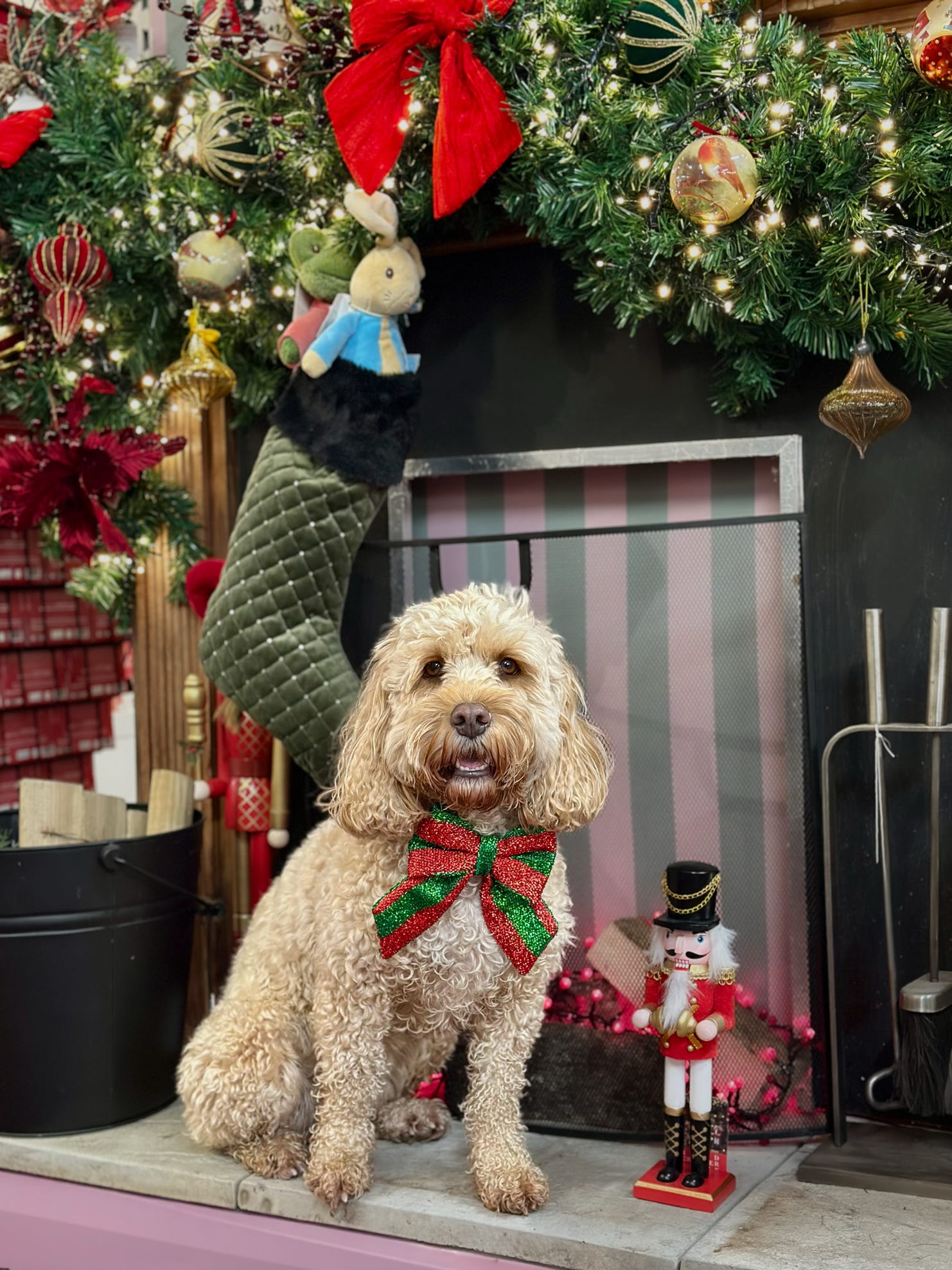Tinsel Paws Christmas Sailor Bow