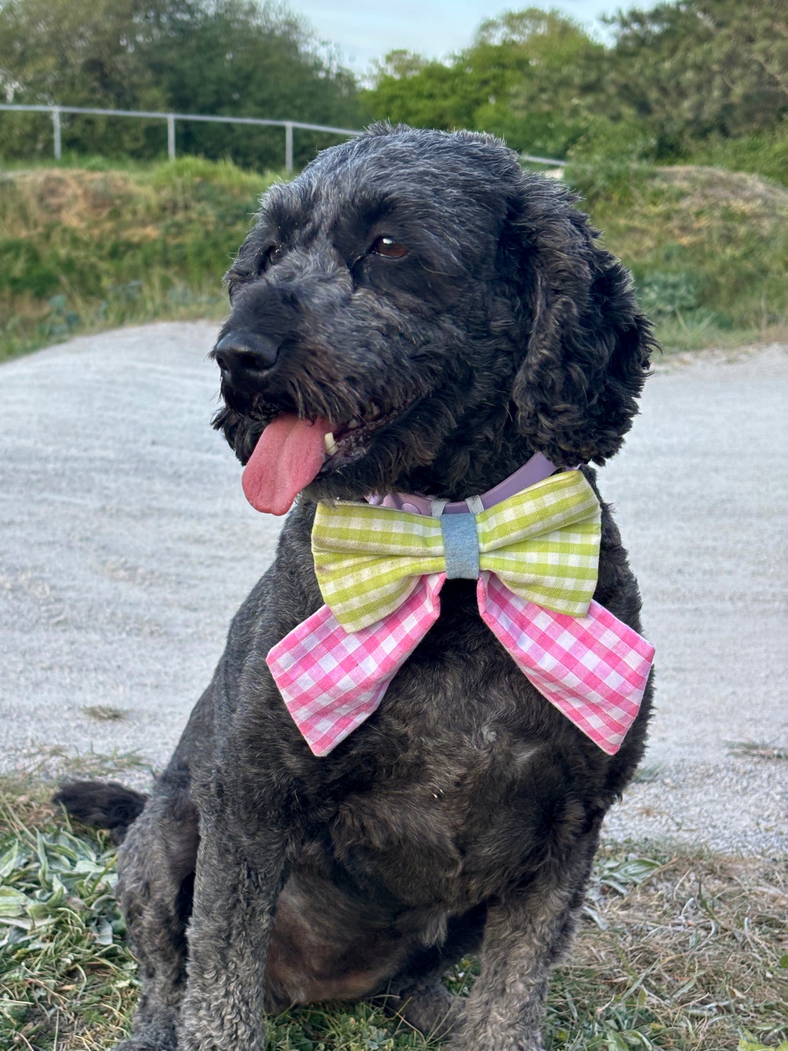 Picnic Pals - Lime Twist Sailor Bow