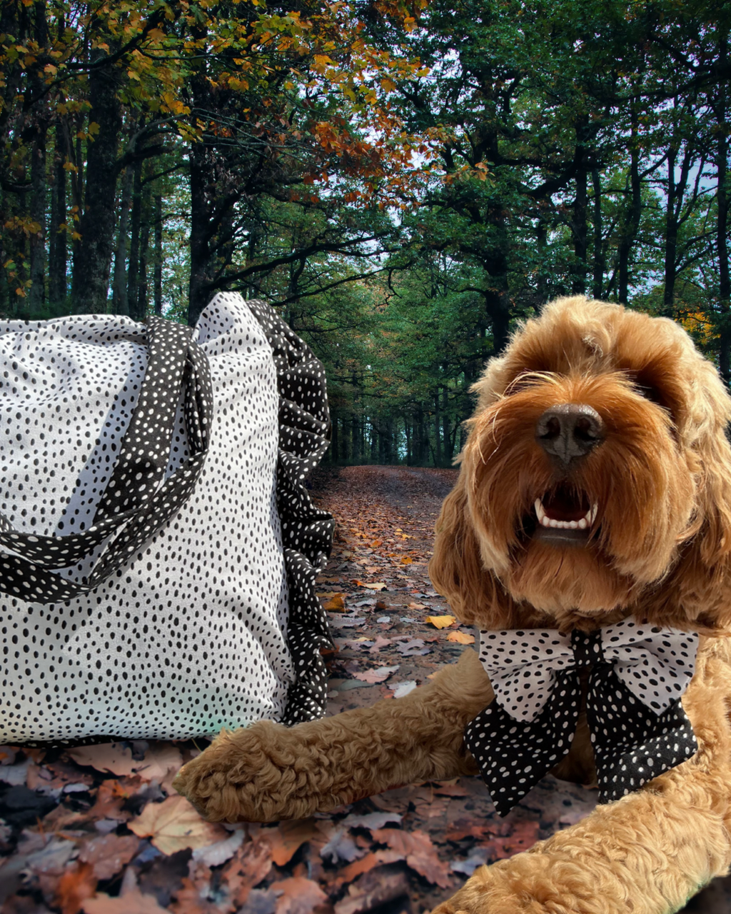 Mono Mood: Iconic Tote Bag