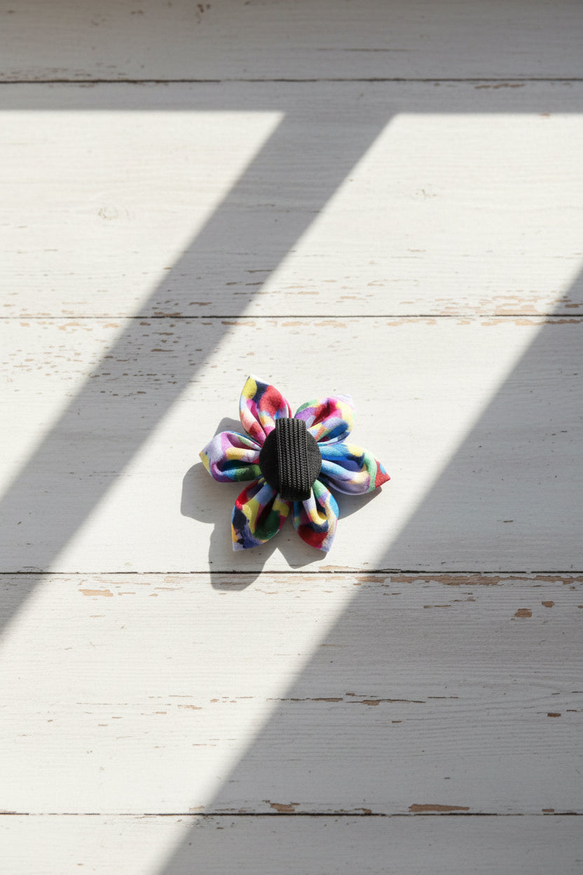 Colour Burst Bloom Collar Flower