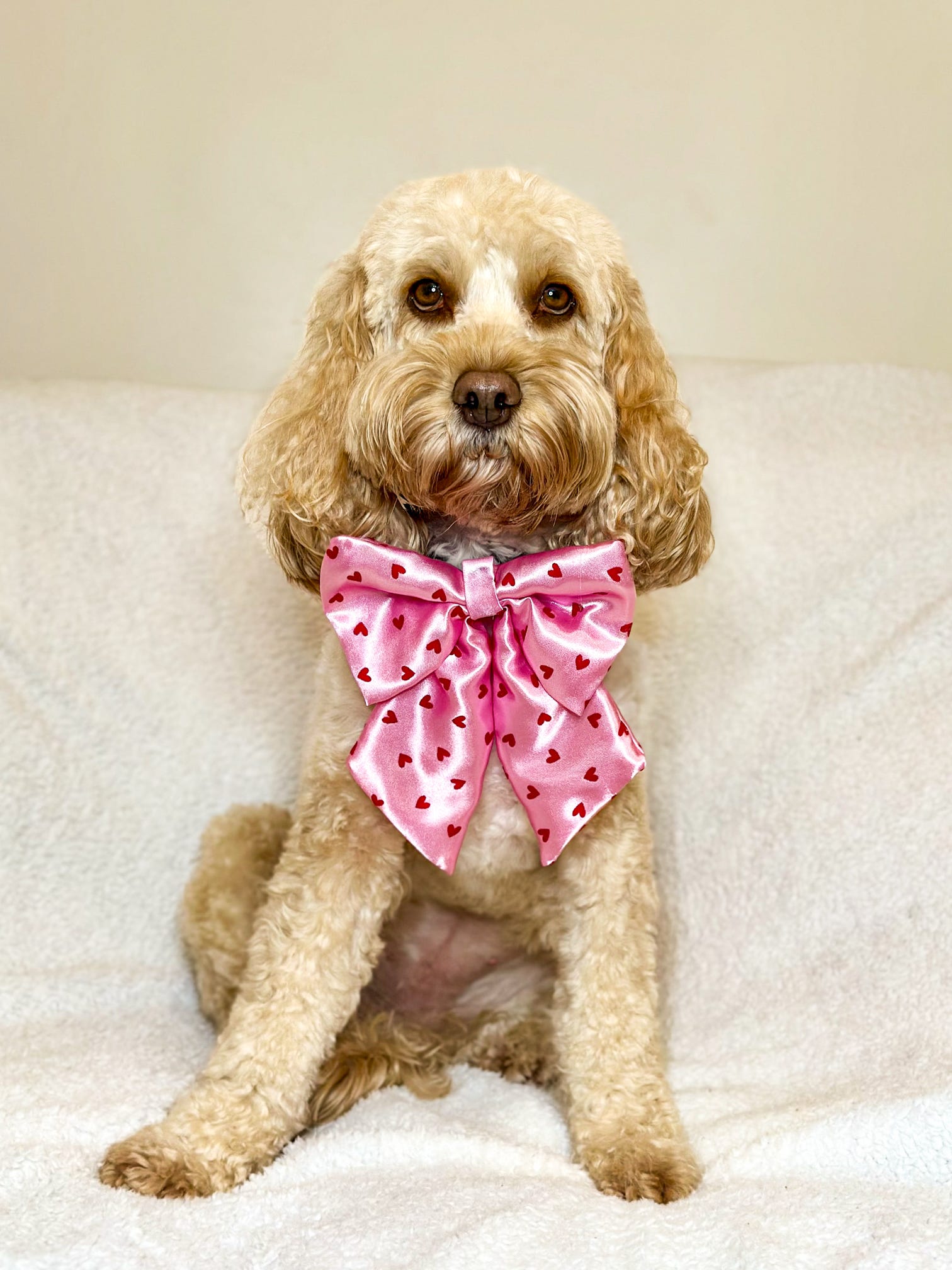 Pink Heart Sailor Bow