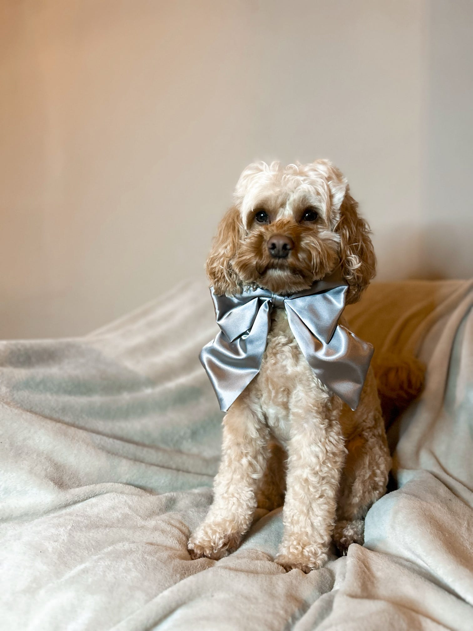 Satin Luxe Sailor Bow - Mink