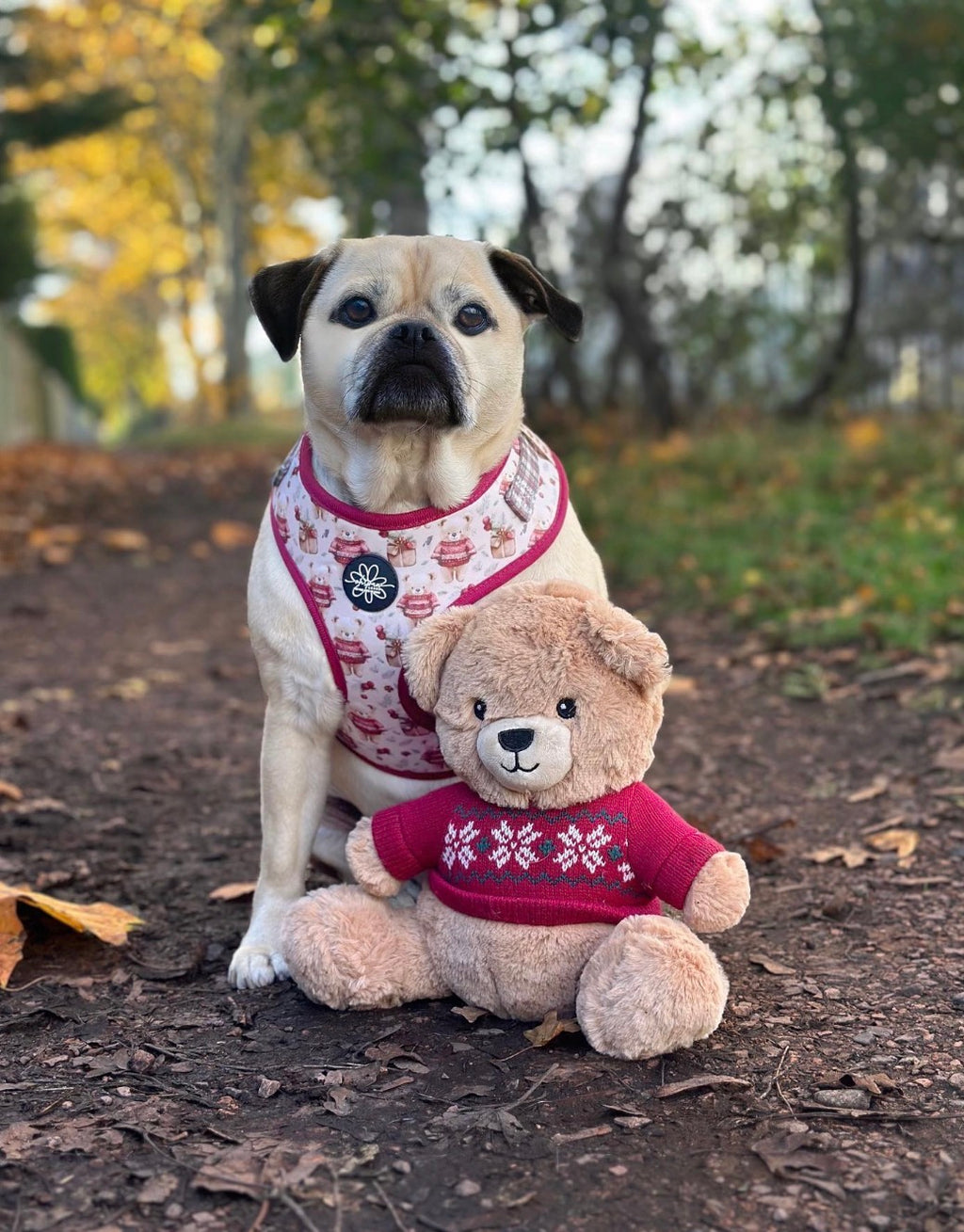 Jingle Bears - Adjustable Harness