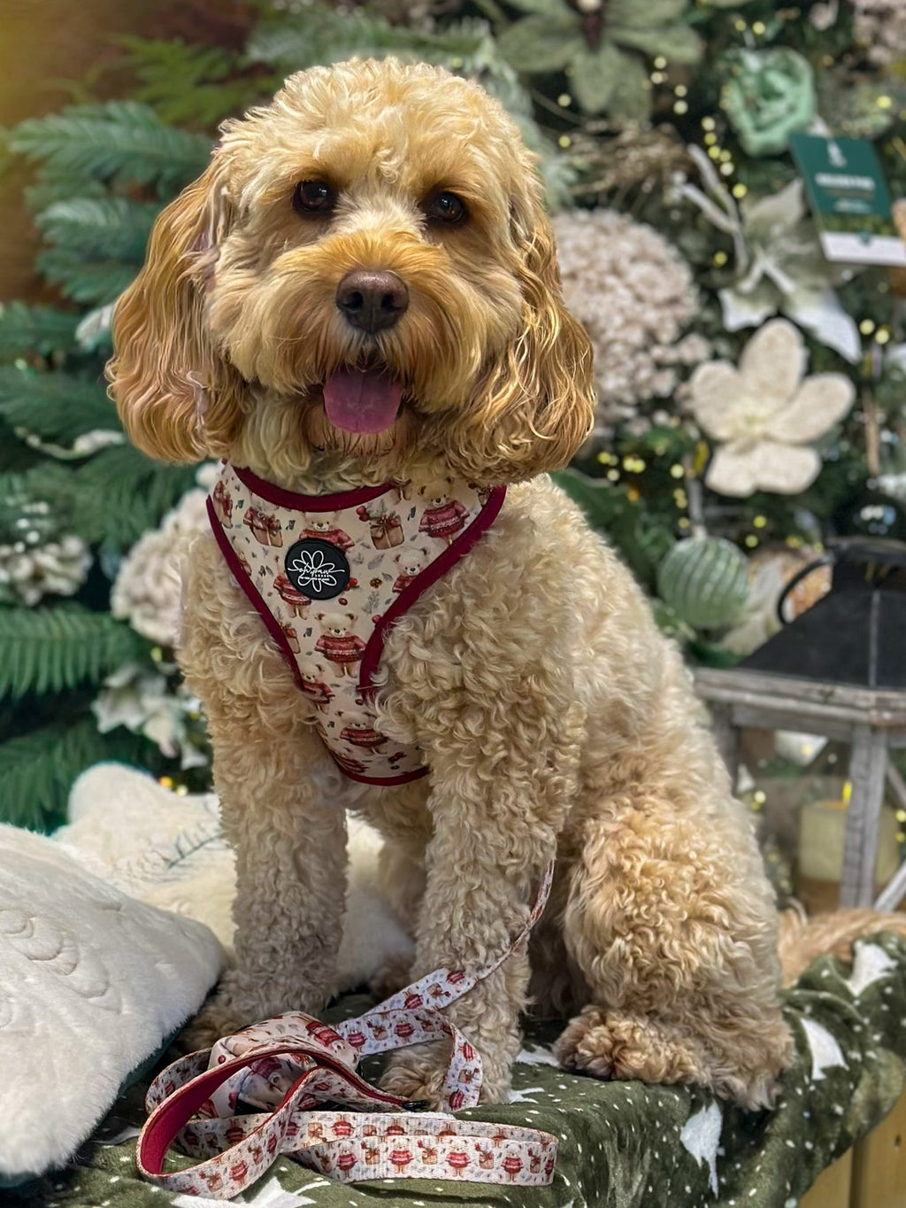 Jingle Bears - Adjustable Harness