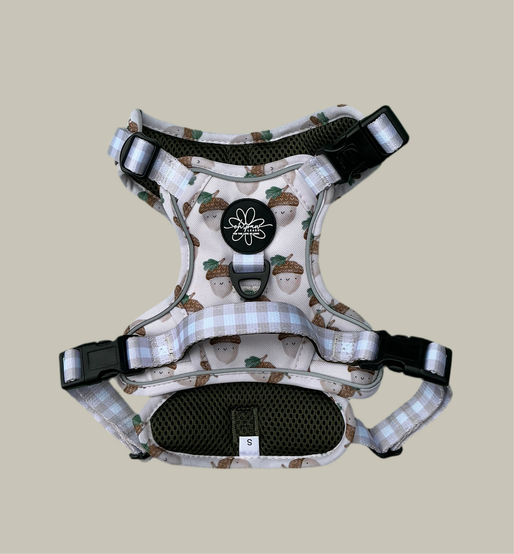 Nutty, by Nature! - Ready To Roam Harness