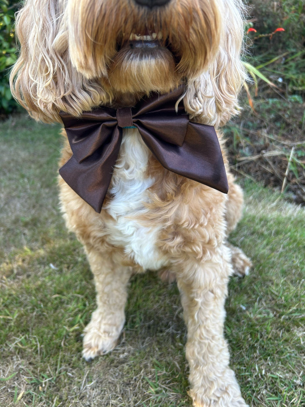 Social Season - Chocolate Luxe Satin Sailor Bow