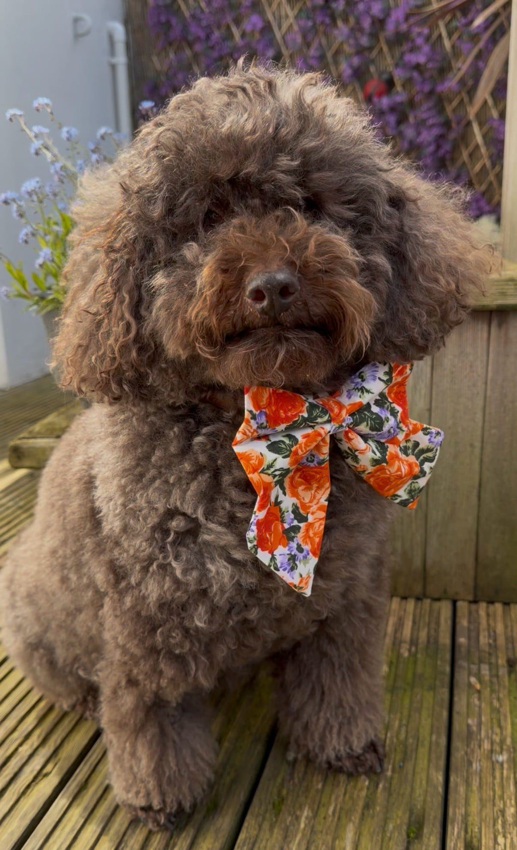 Vintage Rose Sailor Bow - Orange