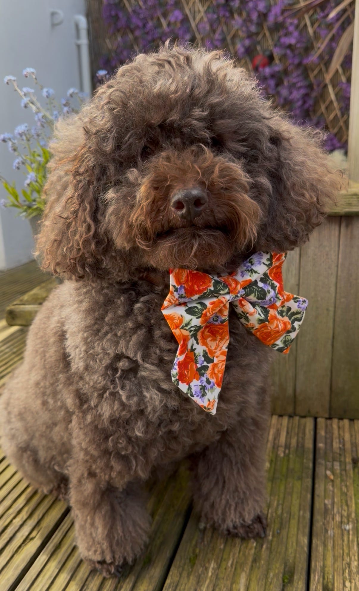 Vintage Rose Sailor Bow - Orange