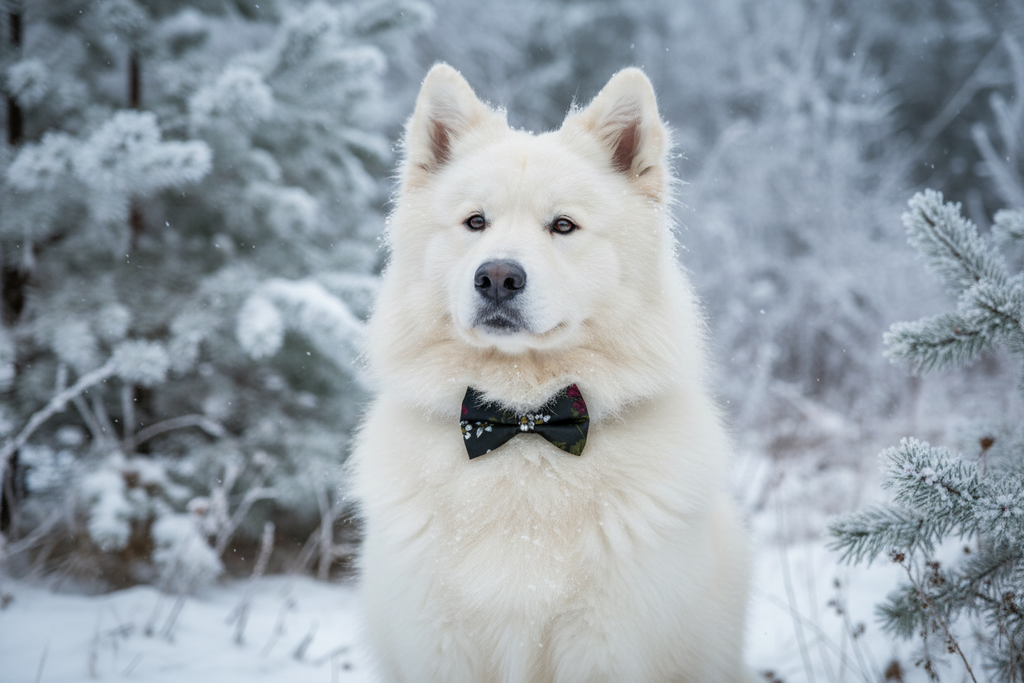 Bark & Berry Bow Tie