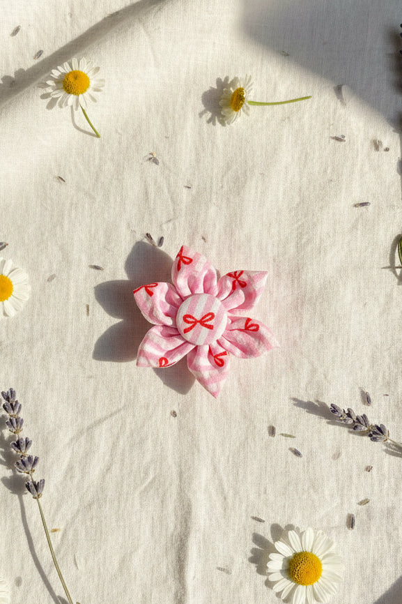 Mix & Bloom Collar Flowers - Stripe