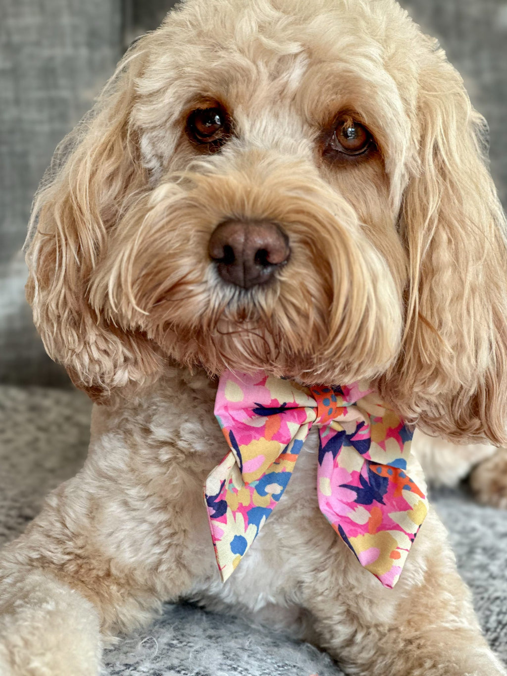 Popping Pink Sailor Bow