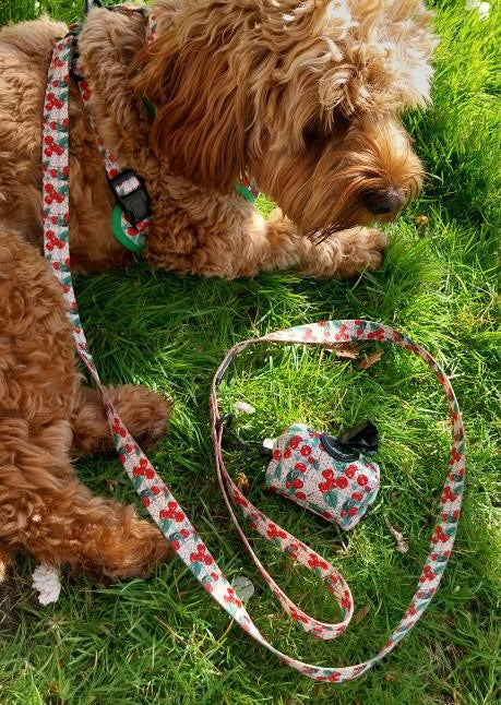 Cherry Picked Poop Bag Holder
