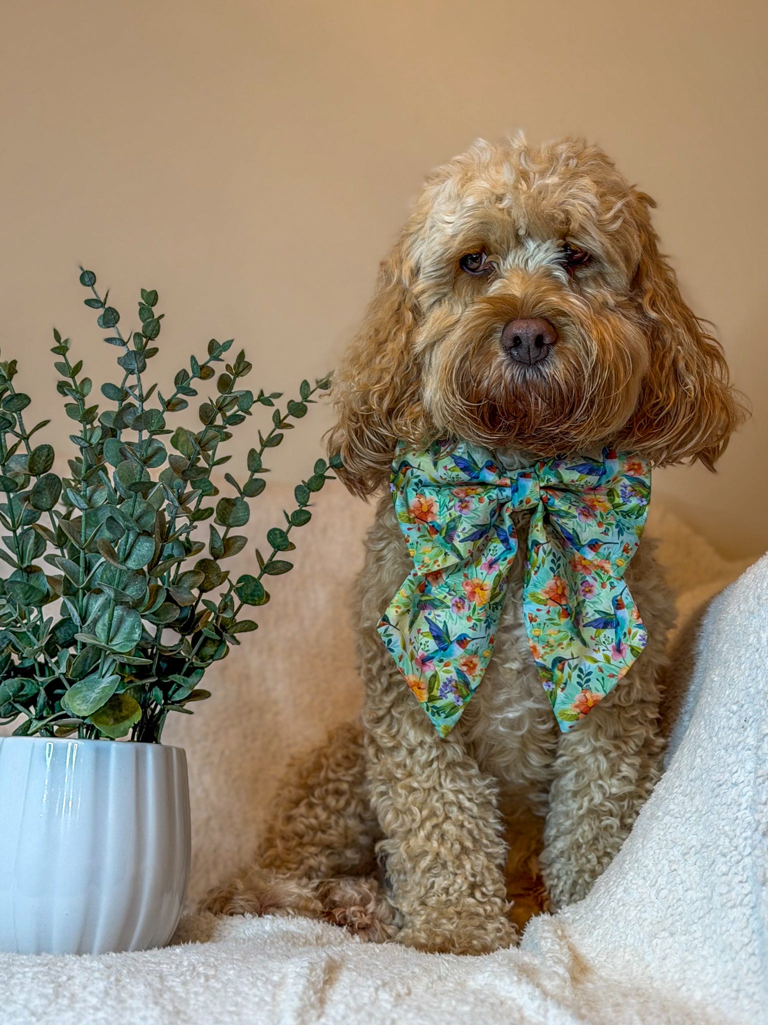 Hummingbird Meadow Sailor Bow