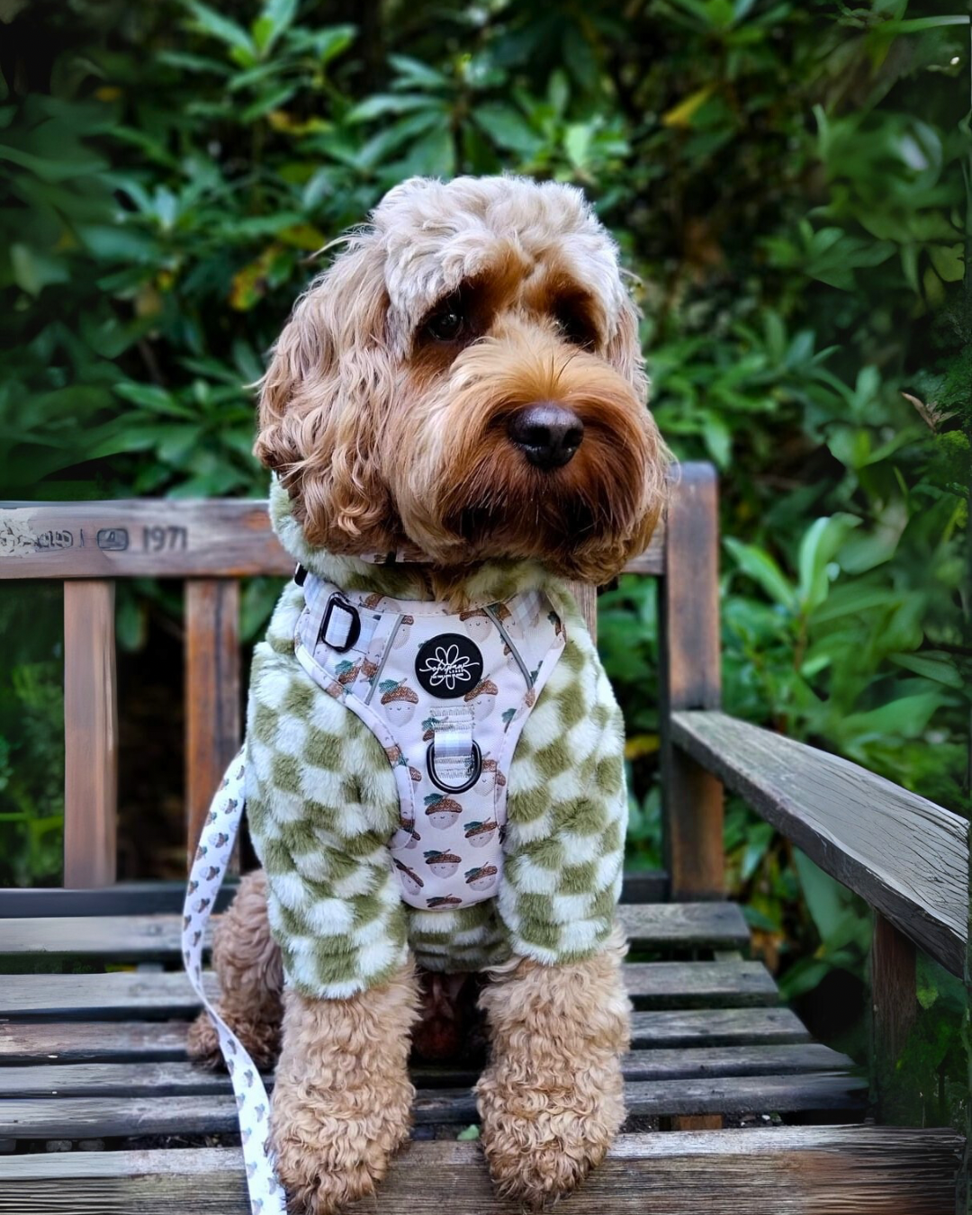 Cosy, Cute & Checkered Hoodie