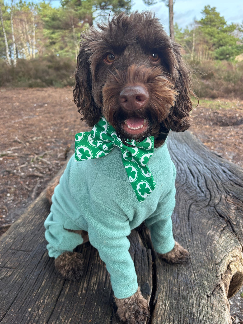 St Patrick’s Day Sailor Bow