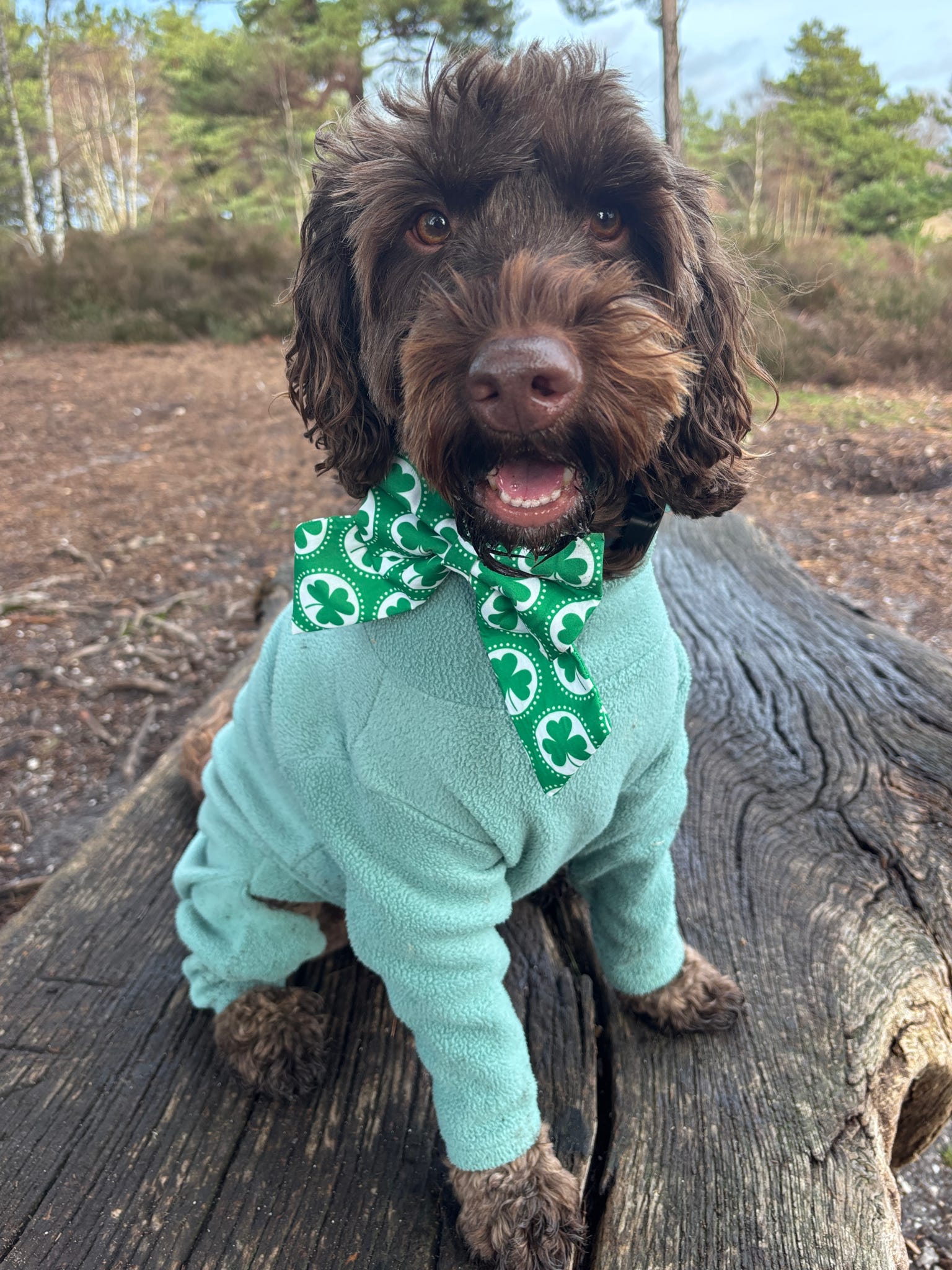 St Patrick’s Day Sailor Bow