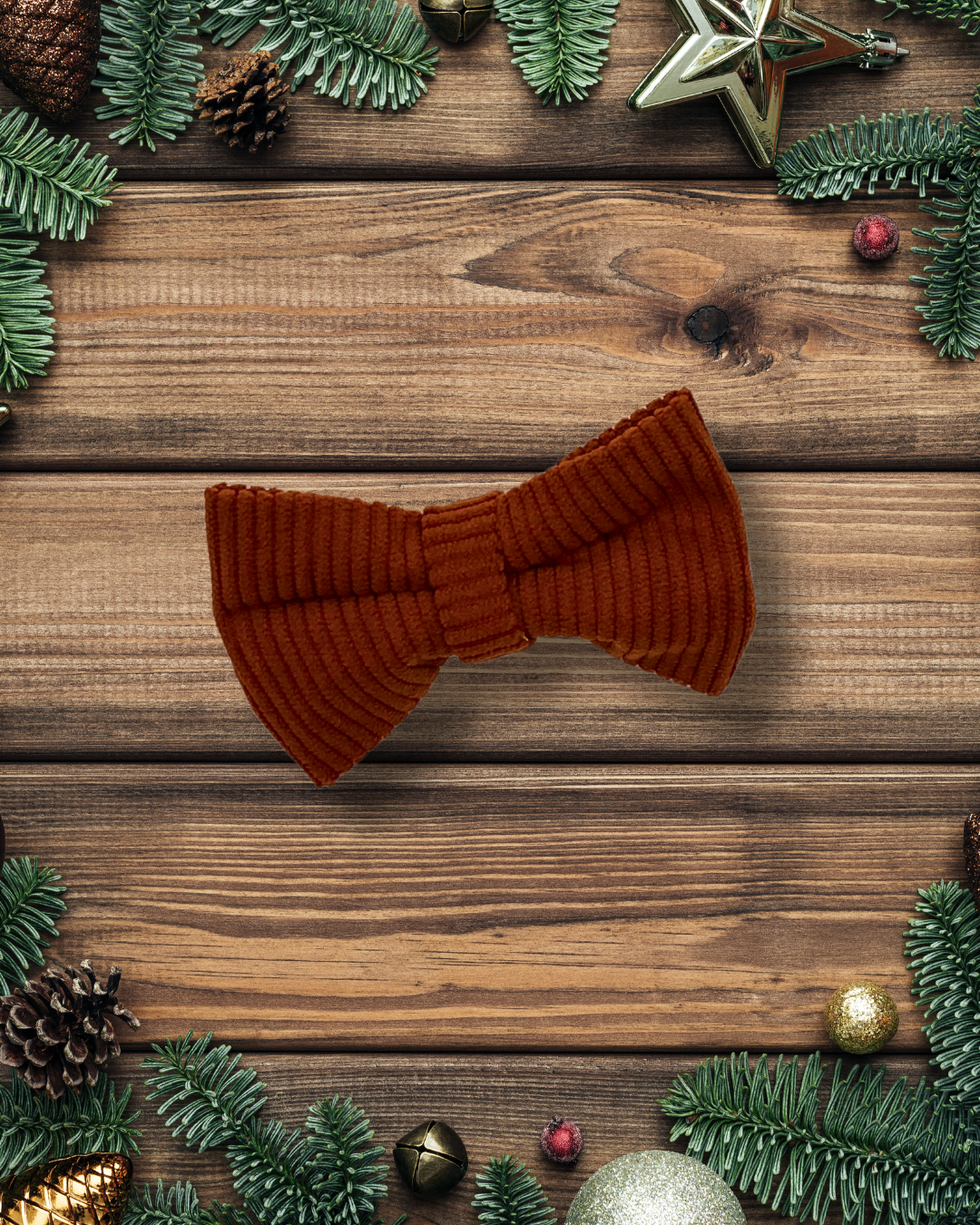 Terracotta Corduroy Bow Tie