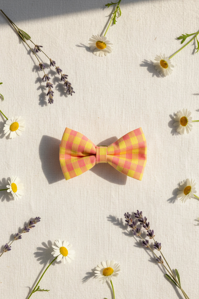 Picnic Pals - Peach Gingham Bow Tie