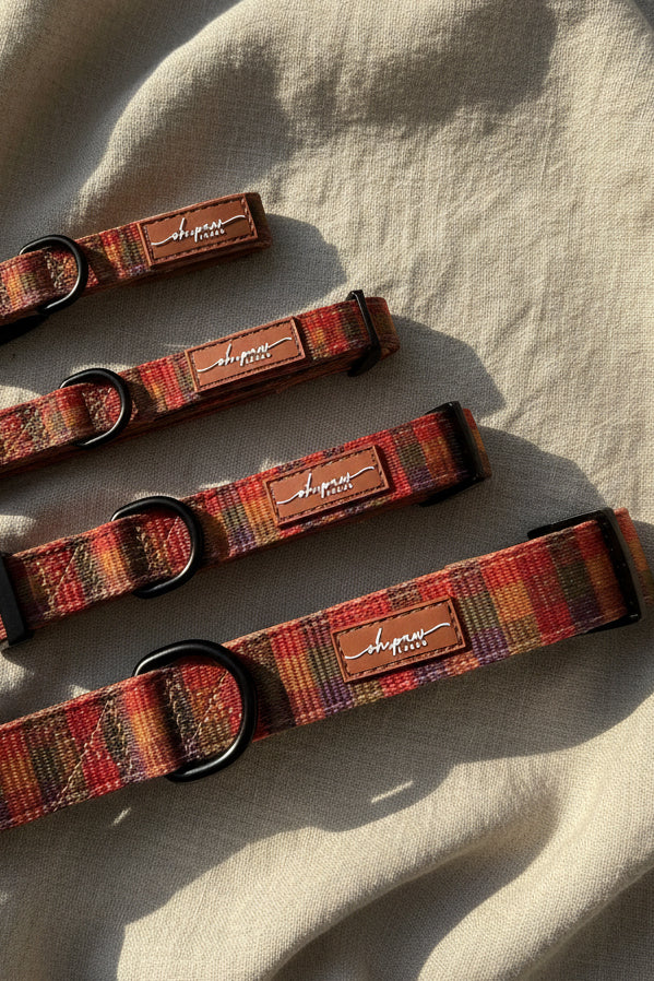 Burnham Weave Collar
