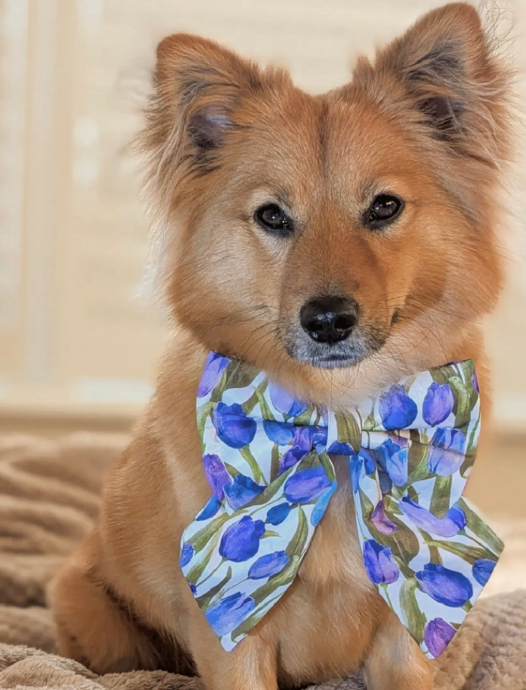 RESTOCK COMING SOON - Violet Tulip Bloom Sailor Bow