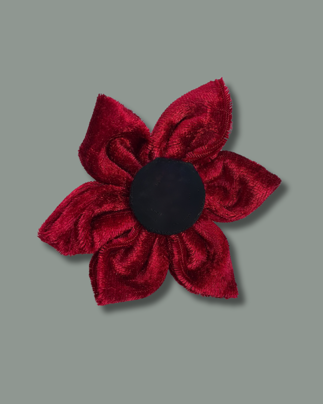 Paws for Remembrance Burgundy Poppy Collar Flower
