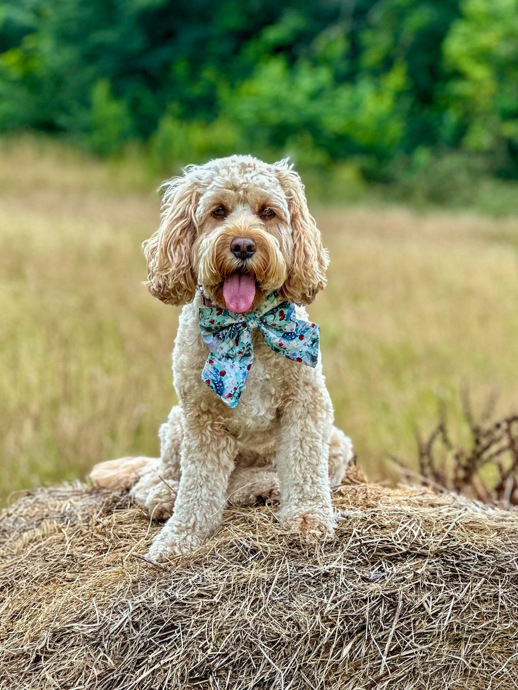 Birds of a Feather Sailor Bow