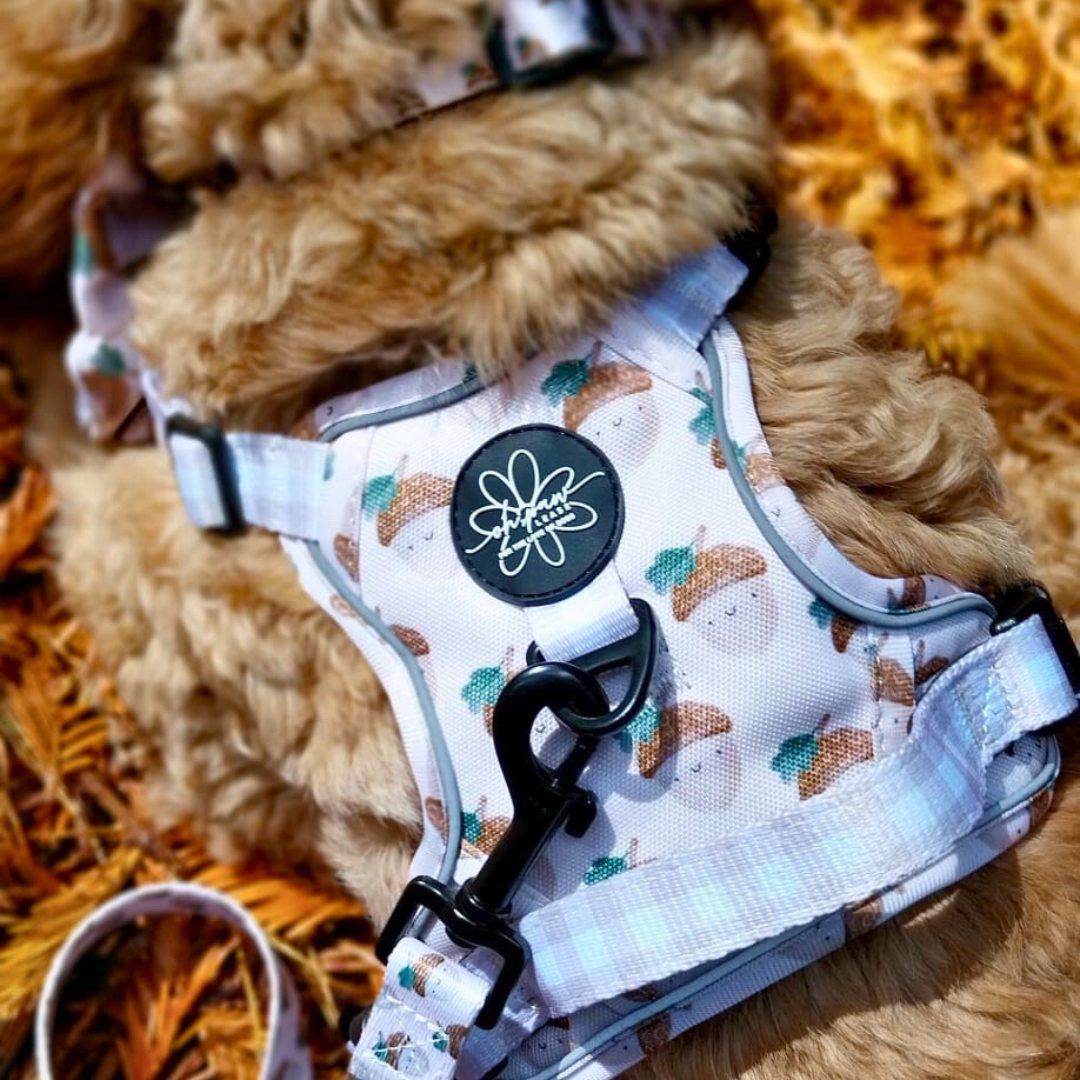 Nutty, by Nature! - Ready To Roam Harness