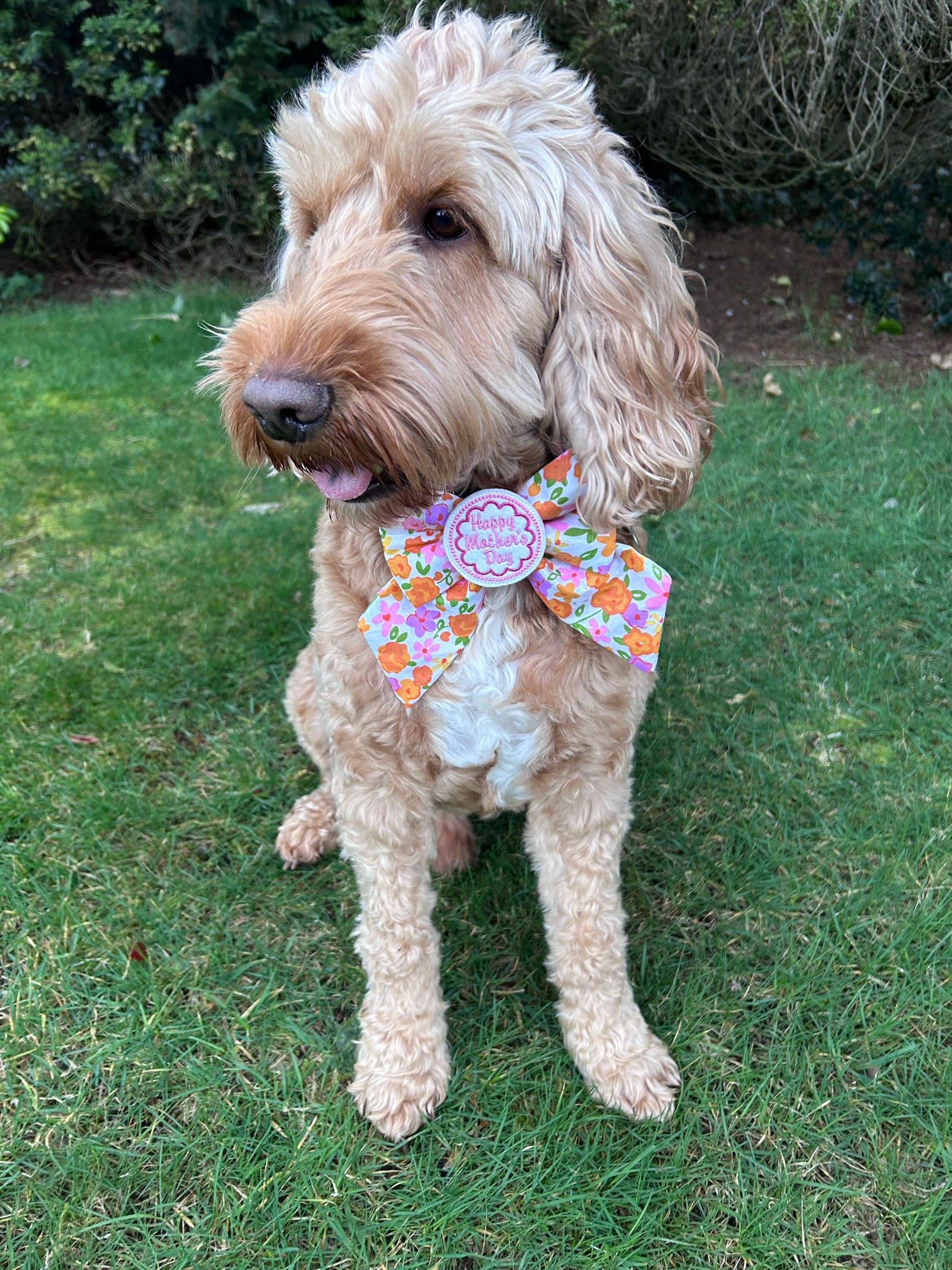 Limited Edition - Happy Mother’s Day Floral Sailor Bow